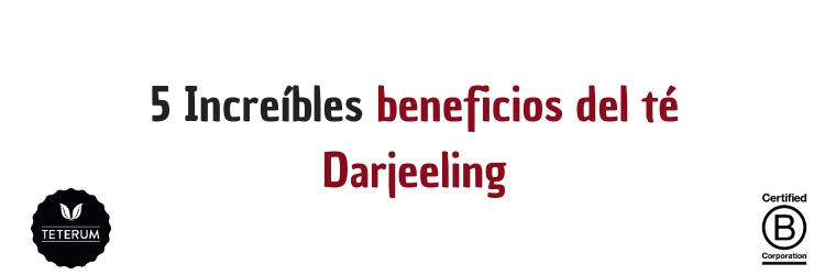 5 Increibles beneficios del te Darjeeling